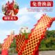 运动甩绸带手中老年人彩带龙头龙健身广场舞钢架耍龙道具龙龙中国
