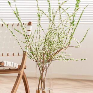玻璃富贵竹透明柳木马花瓶雪摆件客厅高级感大插花水培水养直筒醉