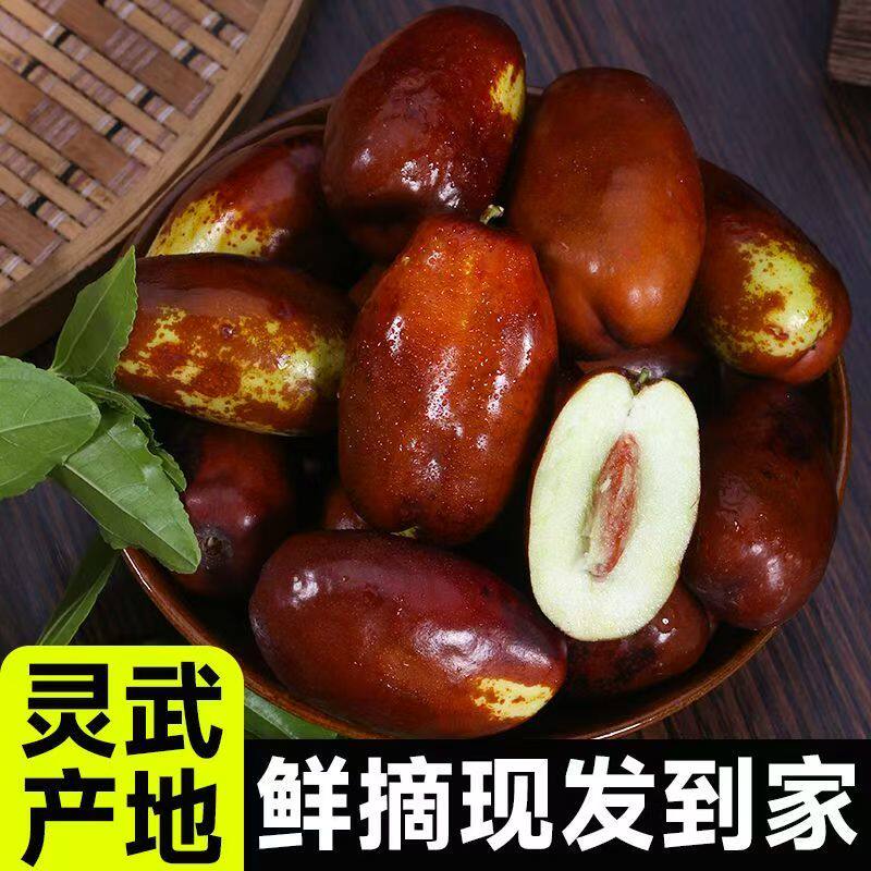 宁夏灵武产地直发红枣鲜摘现发到家当季水果