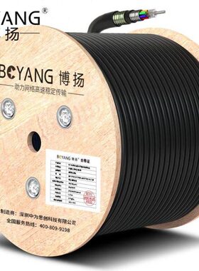 博扬（BOYANG）BY-GYTA53-8B1.3 重铠地埋8芯单模室外光缆GYTA53