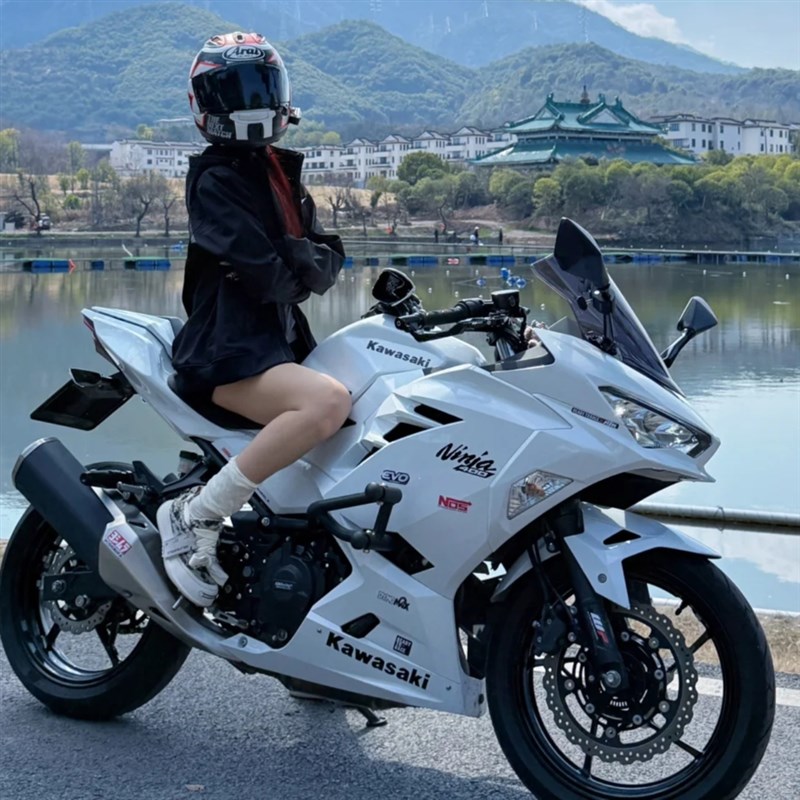 摩托车机车跑车川崎双缸小忍者地平线重成人重机车燃油仿赛可上牌