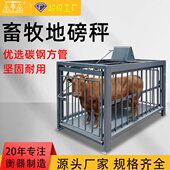 精准电子地磅称猪牛羊围栏台秤畜牧养殖称重磅秤3吨1吨过道地平秤