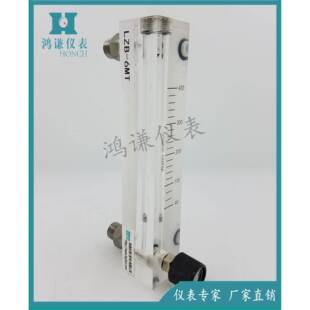 LZB 透明度高重量轻生产 6MT有机玻璃转子流量计面板式
