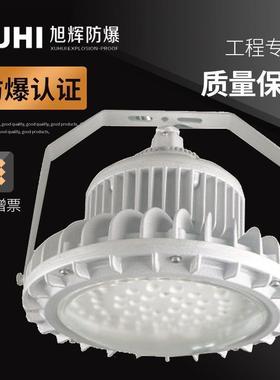 防爆照明灯XHD610免维护防爆灯120W150W200W厂房用LED防爆灯