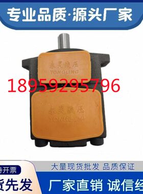 性840/B-0仙BEE5/6L16Y居Y高/8Y0片25油泵永灵/能叶C32E//-3