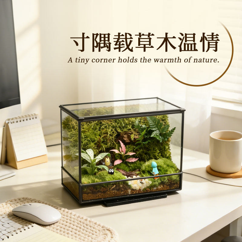 苔藓微景观藓精灵门生态缸优质白发装饰绿植桌面摆件懒人办公好养
