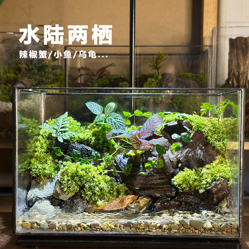 水陆两栖螃蟹养鱼生态苔藓雨林缸造景礼物入户玄关客厅办公桌摆件