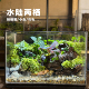水陆两栖螃蟹养鱼生态苔藓雨林缸造景礼物入户玄关客厅办公桌摆件