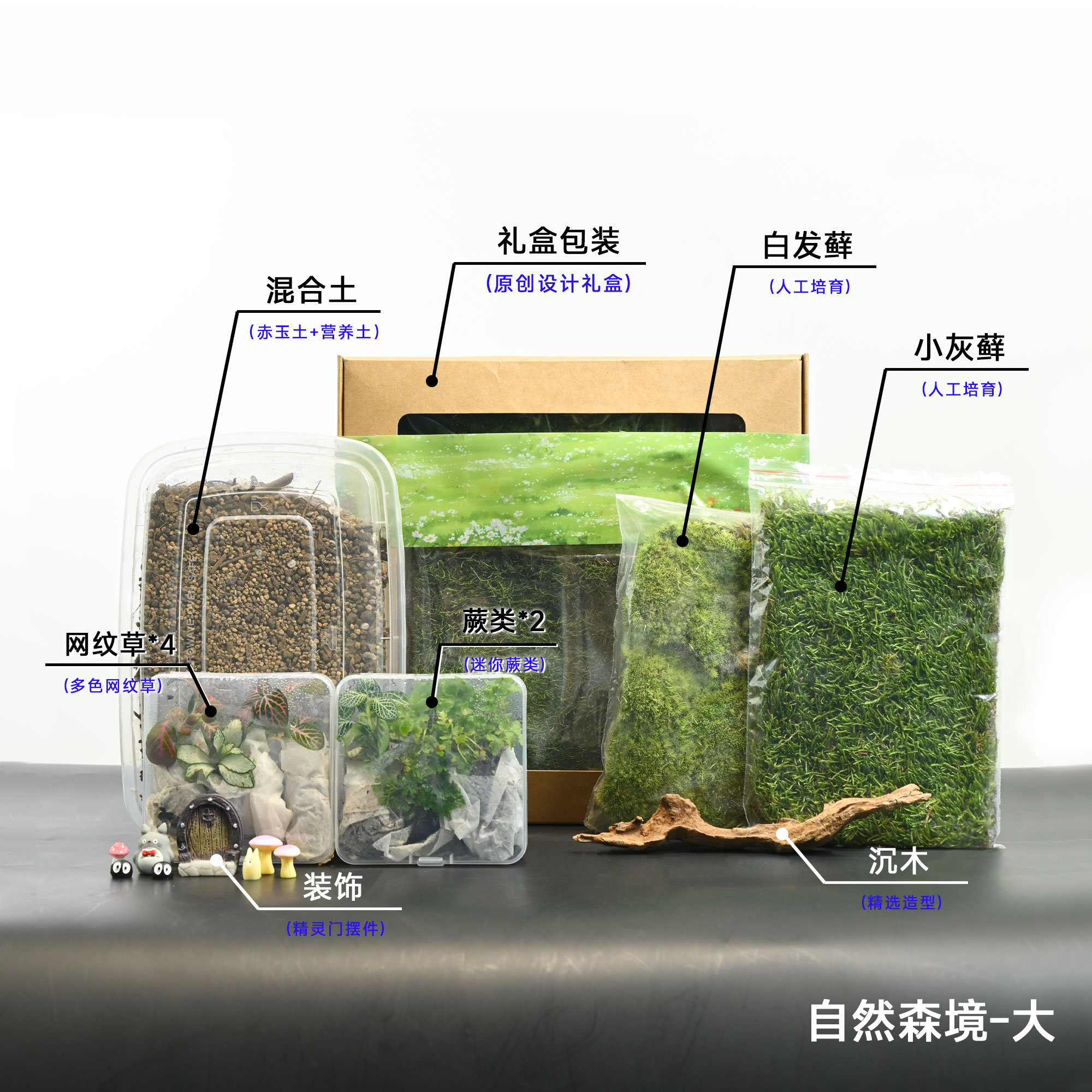苔藓微景观diy通用材料包白发蕨