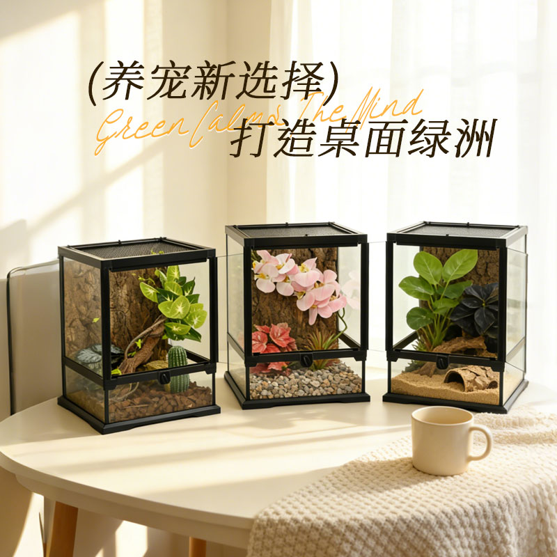 守宫攀爬香槟木生态沉木饲养箱
