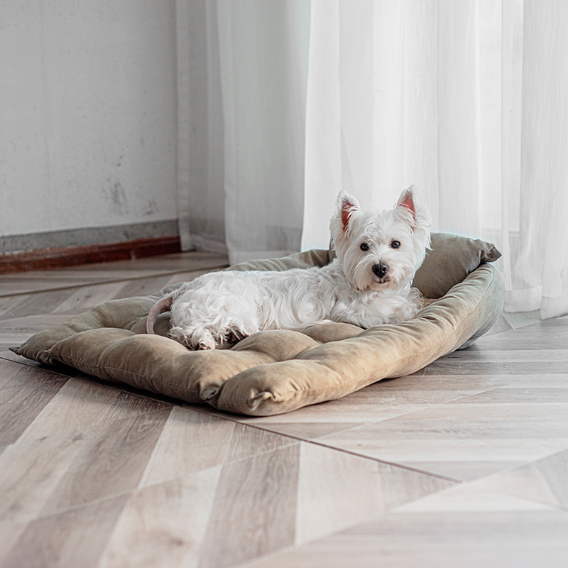 狗窝冬天保暖深度睡眠四季通用中小型犬冬季狗狗窝宠物室内狗垫子