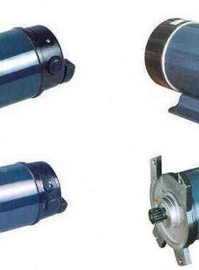 Y4T直220磁 Z直流电机流有电机 永110 山刷电机微型 博V40100W