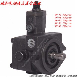 式-P-可调节P 20电动油泵叶V-V带V流溢15  P阀量变自限压片压力12
