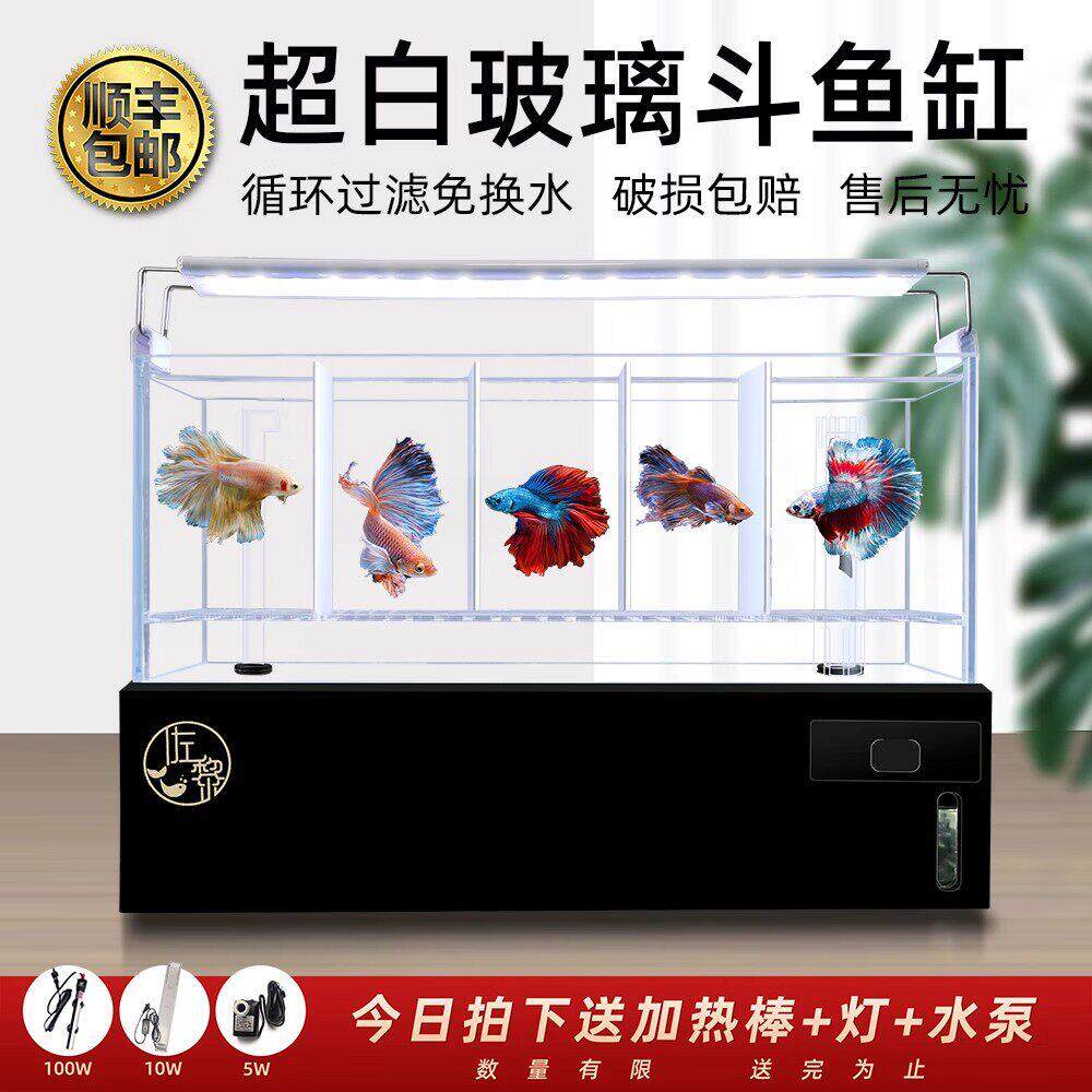 多格斗鱼排缸底滤鱼缸免换水带过滤灯科繁殖隔离缸桌面造景鱼缸