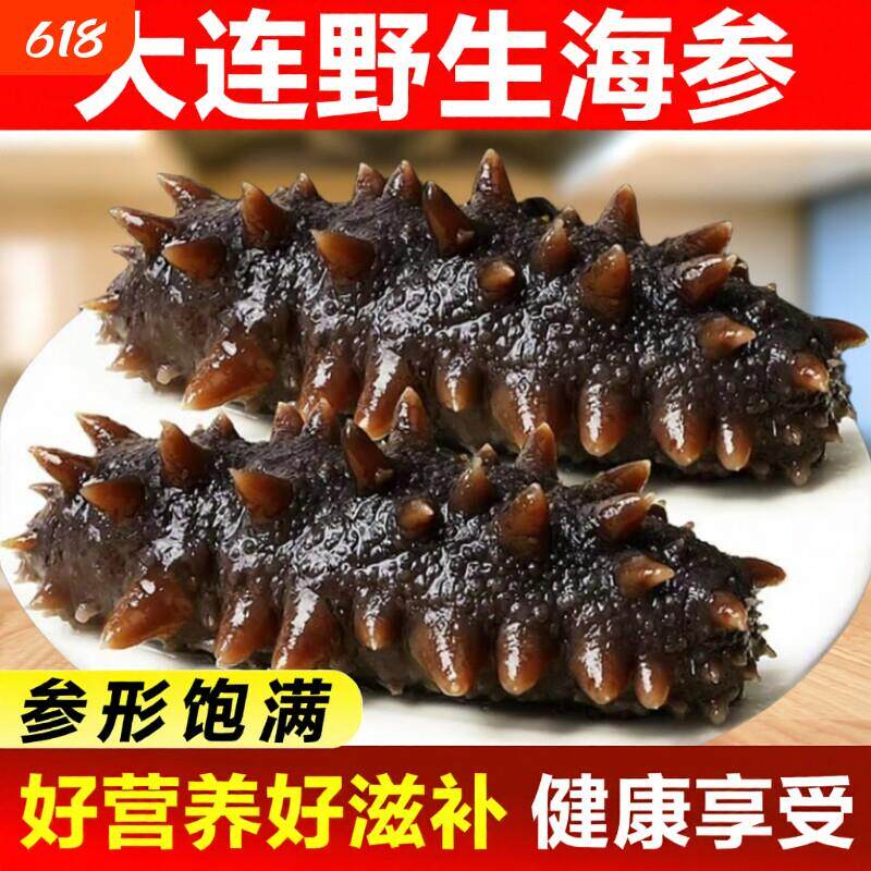 新鲜即食海参刺参野生长岛辽参500g鲜活渗干货大连礼盒水产冷冻