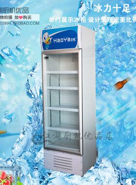 好鸭单门立式保鲜柜 LSC-380Z直冷单门陈列柜 饮料啤酒保鲜柜商用