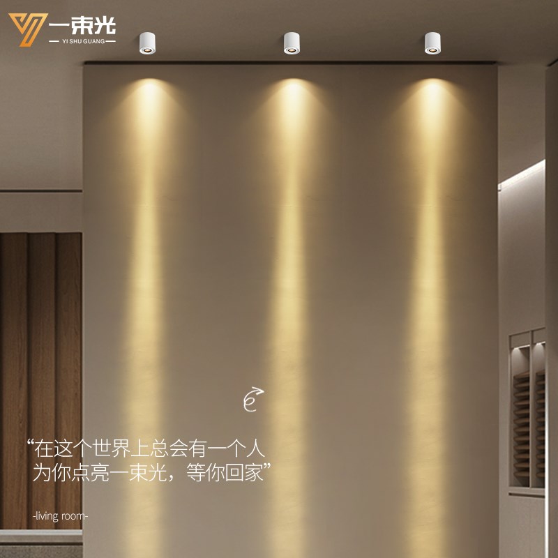 一束光聚光射灯低压小角度led明装5度过道走廊展柜酒柜入户玄关灯