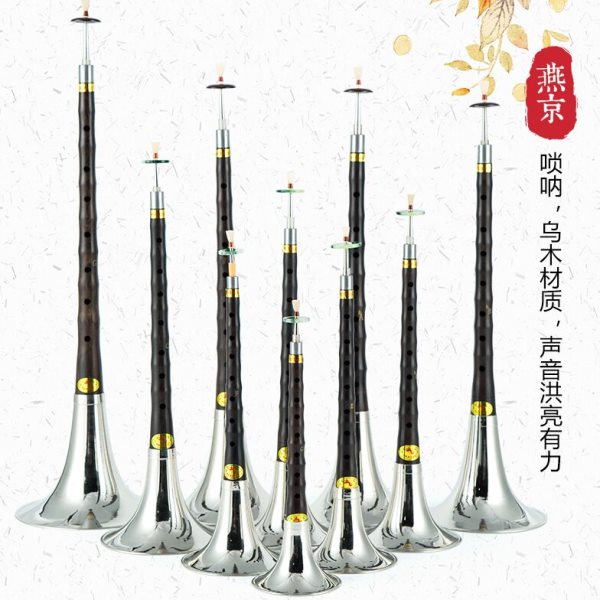 朝凤燕京唢呐乐器全套初学者入门锁啦d调专业演奏唢呐降b调哨乌木