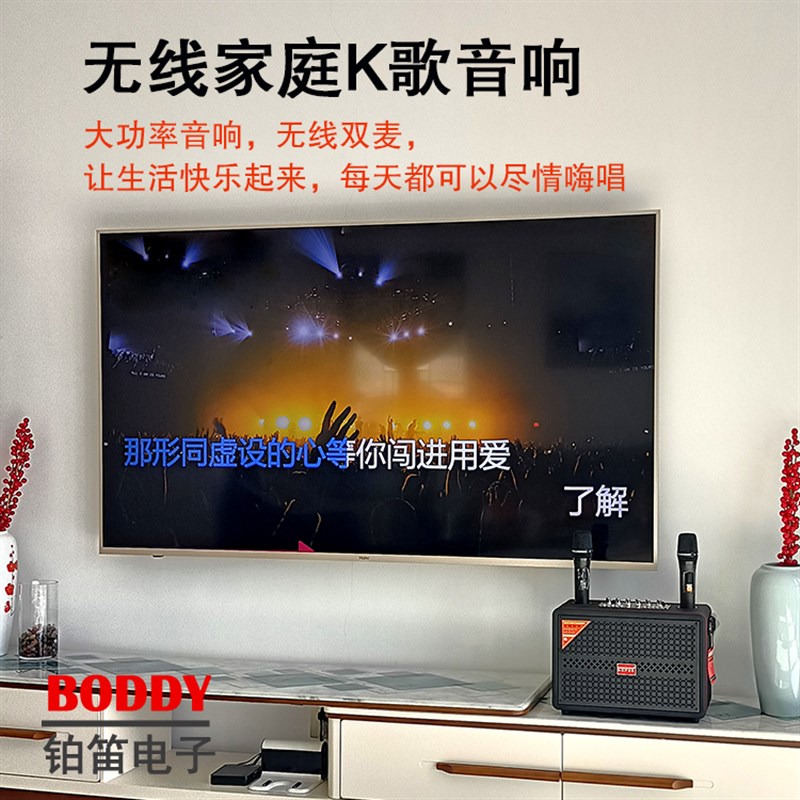 适用电视投影K歌音响麦克风套装 电视投影音响乐器音响K歌麦克风