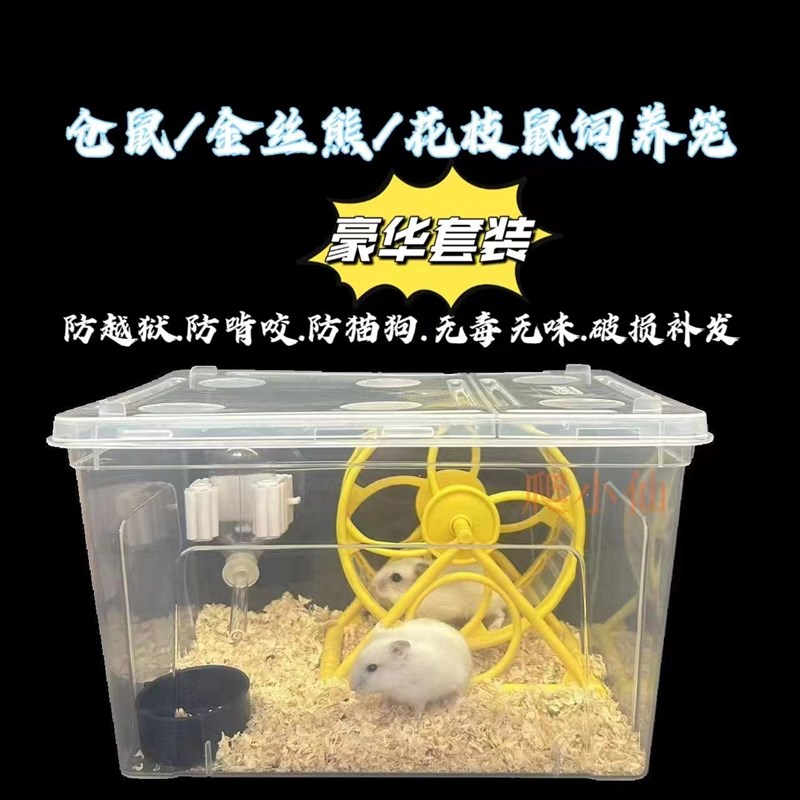 西班牙睡鼠花枝鼠仓鼠金丝熊饲养盒透明小窝用品养殖箱外带笼防逃