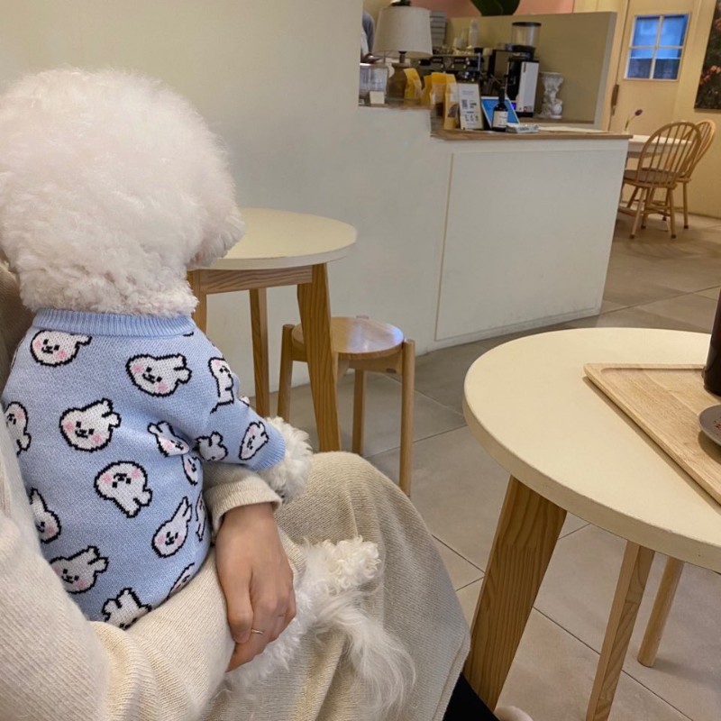 兔子毛衣宠物秋冬季狗狗衣服小型幼犬春秋装泰迪比熊博美猫咪冬天