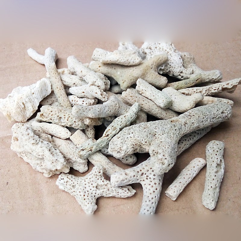 鱼缸滤材珊瑚石海鲜池珊瑚砂水族造景过滤材料鱼池砂底砂石珊瑚骨