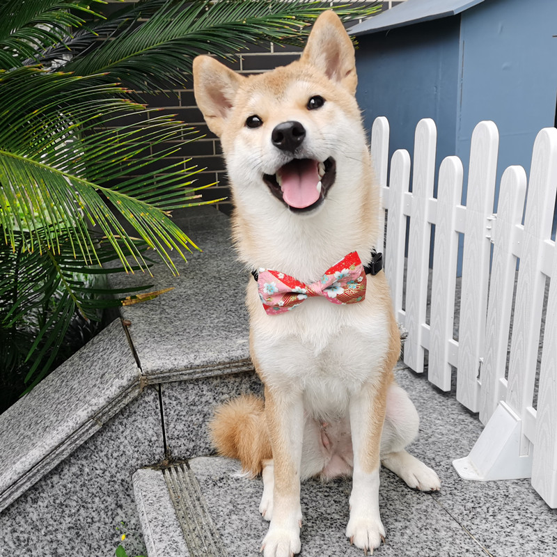 纯手工和风日式宠物猫狗布偶猫柯基柴犬蝴蝶结领节领带脖圈配饰品