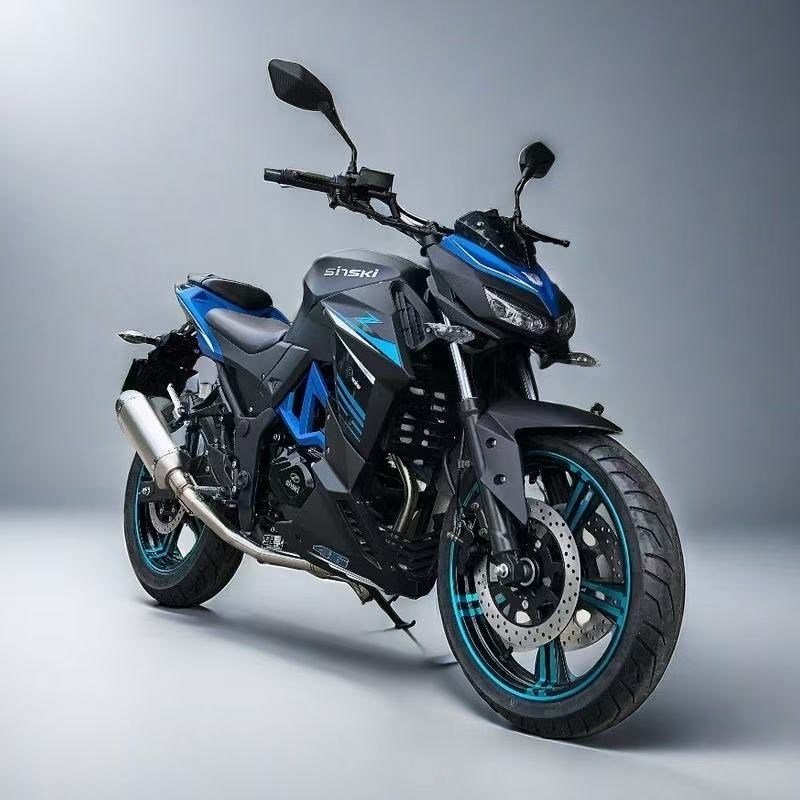 国四大蟒蛇摩托车街车可上牌N19双缸水冷400汽油重机跑车整车