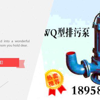 WQ型排污泵(2极)50WQ20-55/11KW  200WQ180-11/11KW
