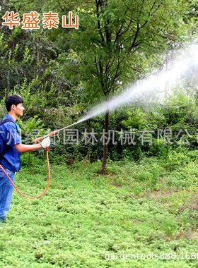 华盛泰山背负式喷雾器 3WZ-7四冲程高压喷雾机大棚农用打药喷虫机