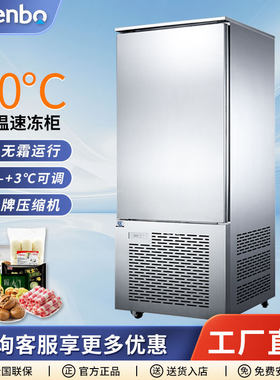 雅绅宝厂家直供商用急冻柜冷冻柜 海鲜包子饺子-40度超低温速冻柜