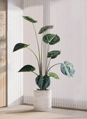 北欧仿真绿植假植物盆栽水晶花烛室内客厅落地装饰盆景玄关摆件