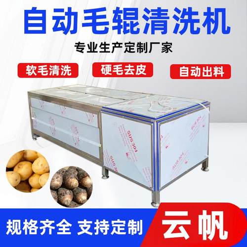 毛辊清洗机带鱼鳞去鳞机海鲜毛辊毛刷清洗机缠膜包装清洗机设