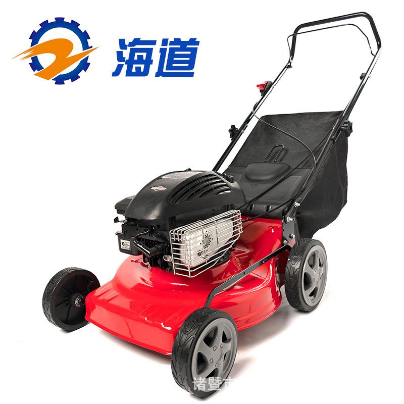 5.5马力18寸草坪机百力通BS500割草机园林农用打草机修剪机