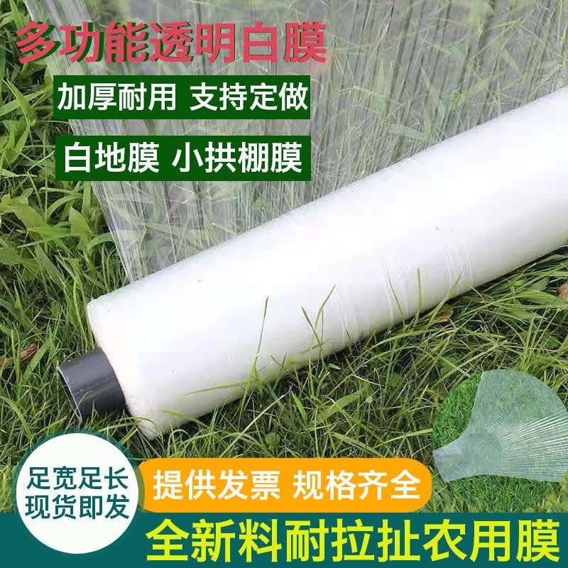农用白地膜d育苗保温保湿塑料透明膜耐用加厚超韧性耐撕拉种菜花,农机/农具/农膜,农用薄膜,淘宝优惠券,粉丝福利购,淘宝优惠卷