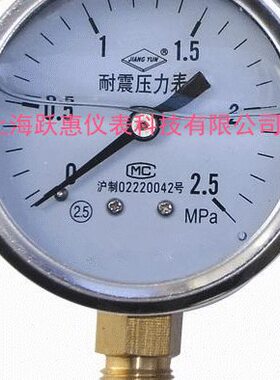 YMPa10 .10 0-6 径向 耐震压力表N抗震压力表-