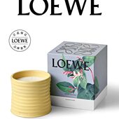 居家 植物 LOEWE罗意威家居香氛香薰蜡烛170g 官方 新年礼物