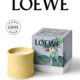 居家 植物 LOEWE罗意威家居香氛香薰蜡烛170g 官方 新年礼物