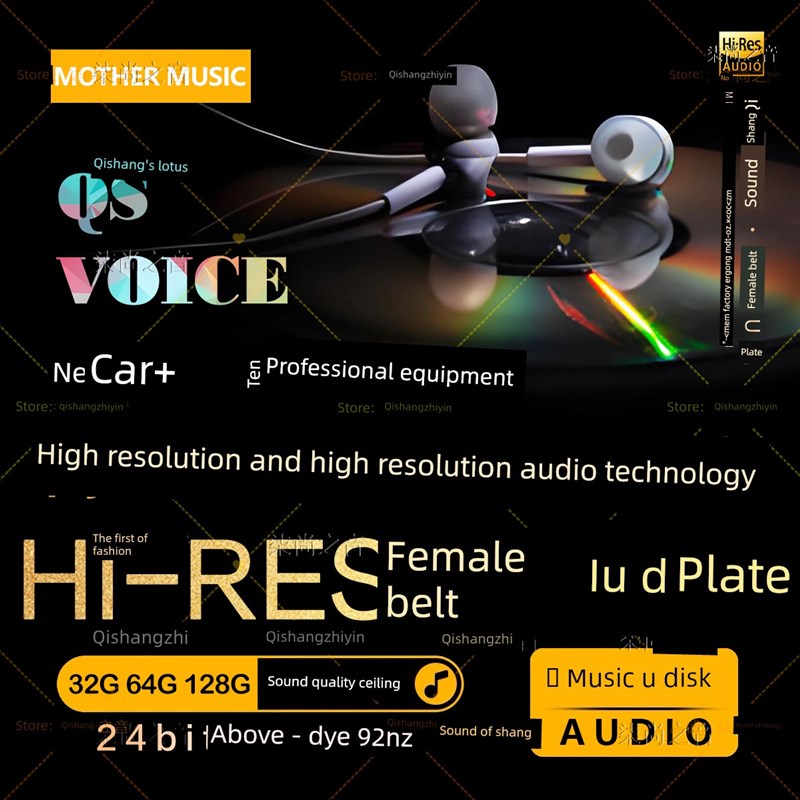 2025新高端招聘声源S闪存驱动t器汽车流汽车S闪存驱动器汽车歌真