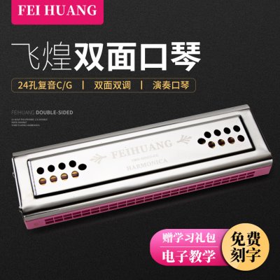 德国进口飞煌演奏口琴初学24孔C调G调复音口琴双面双调两面送礼品