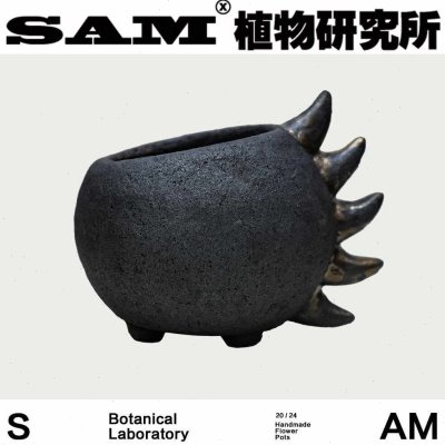 SAM植物研究所恐龙块根花盆/潮流块根/网红植物花盆/手工粗泥盆器