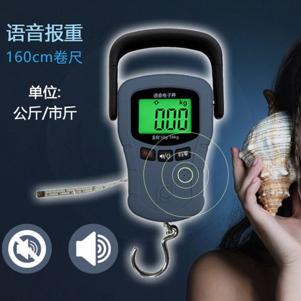 福日快递物流称重手提秤钓鱼吊钩称电子秤弹簧秤50KG耐用SF同款
