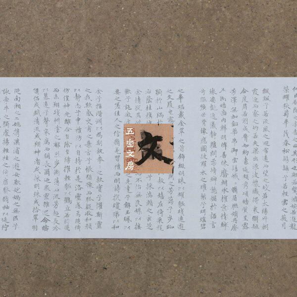 赵孟頫小楷洛神赋水写布 中学生清水循环练毛笔书法