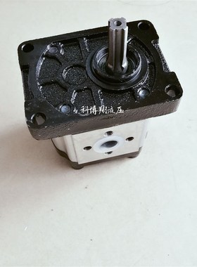 SDH上海大众齿轮泵液压油泵CBTt-F316F3HL CBTt-F310F3H/L液压泵