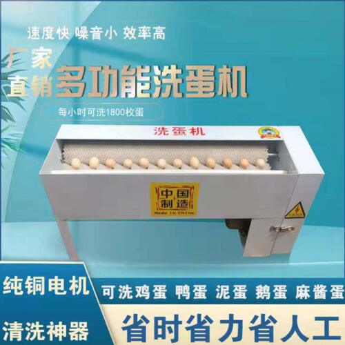洗蛋机蛋品清洗机全自动小型商用洗蛋机新型毛刷辊洗蛋机鸡蛋鸭蛋
