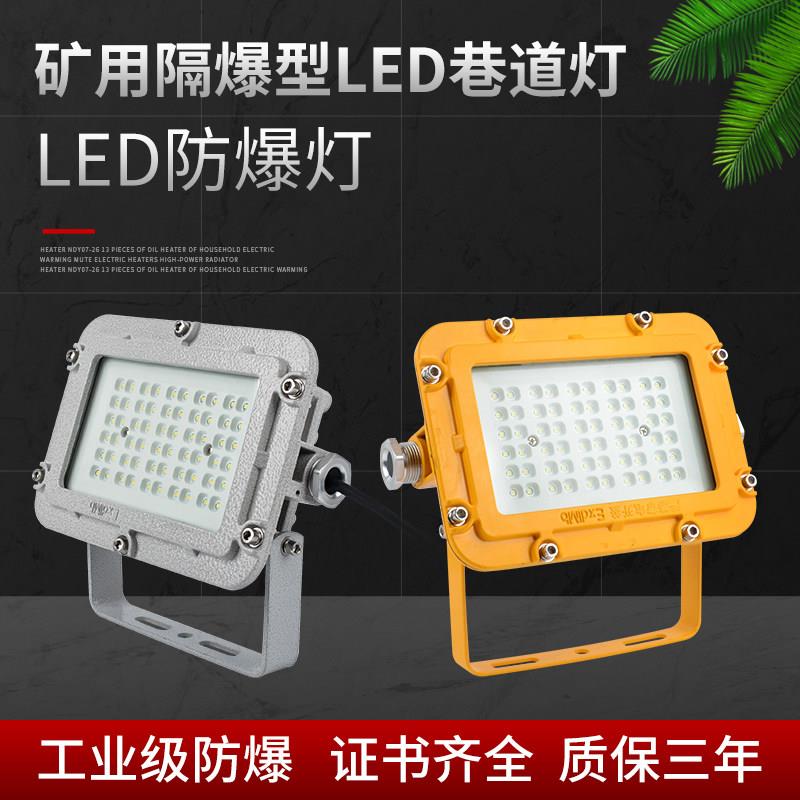 DGS50/127L隔爆型LED巷道灯243640瓦24V36防爆照明紧急照明灯煤矿