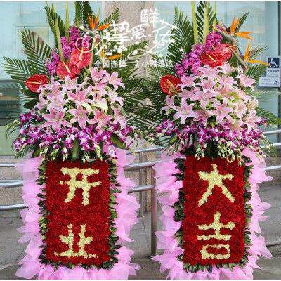 鲜花速递同城长沙株洲郴州岳阳常德邵阳开业花篮发财树大型绿植送