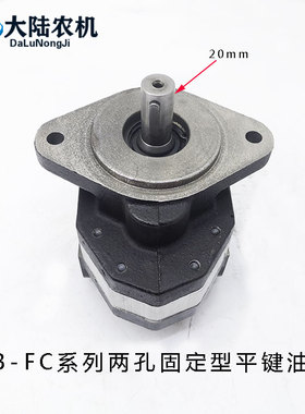 CB-FC25/32/40/50/63/80液压齿轮泵高压油泵两孔固定型铲车液压泵
