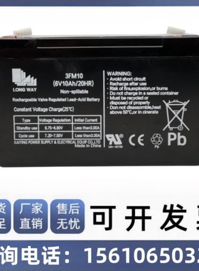 LONGWAY龙威儿童电动车电池6V10ah3FM10地磅吊秤电瓶摩托车大容量