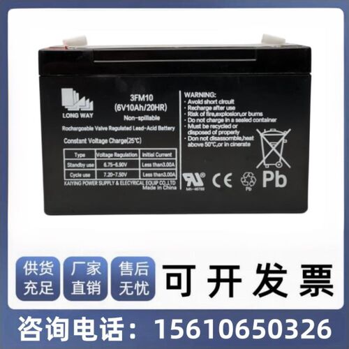 LONGWAY龙威儿童电动车电池6V10ah3FM10地磅吊秤电瓶摩托车大容量